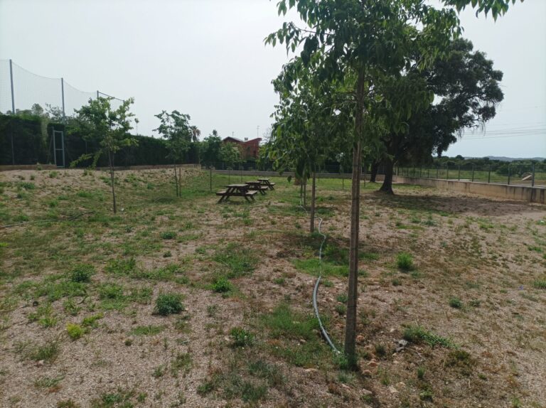 Zona de picnic