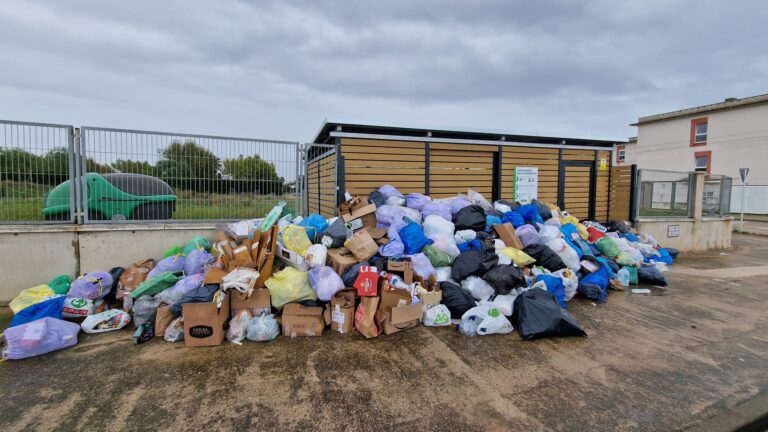 Els ajuntaments anuncien que volen declarar l’emergència sanitària per poder realitzar la neteja  i recuperar la salubritat dels municipis