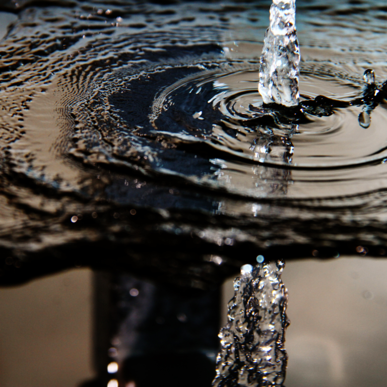 Aprovació de la proposta inicial del protocol d’Autogestió i Gestió del subministrament del servei municipal