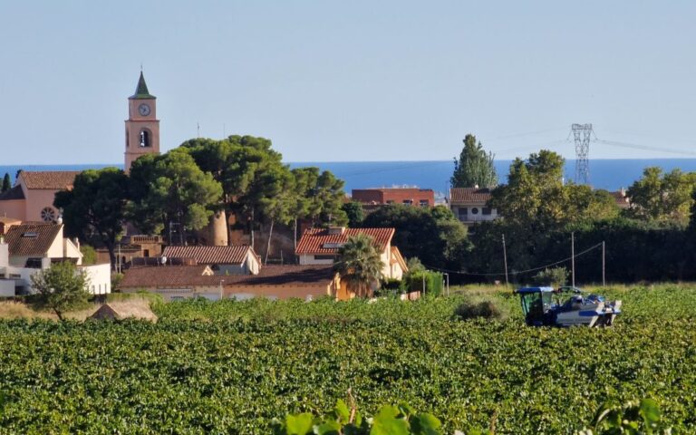 Cens provisional de les eleccions agràries 2026